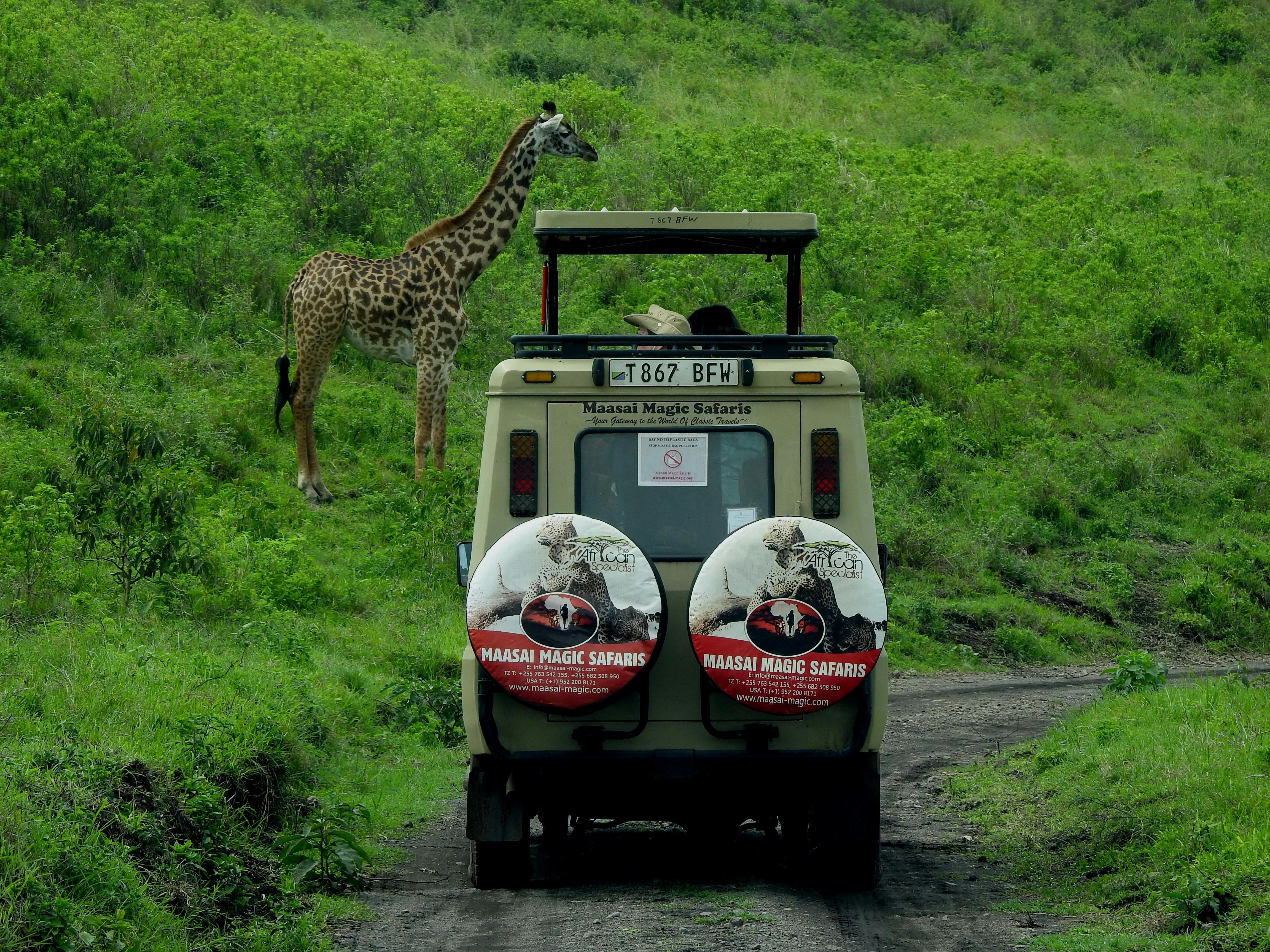 Day Trips Tanzania